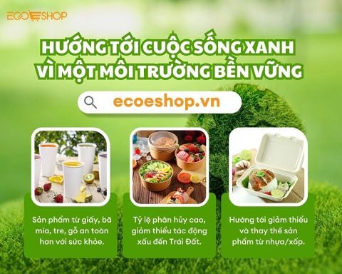 6 Lý Do Mà Các Nhà Hàng Xanh Chuộng Dụng Bao Bì Thực Phẩm Dùng Một Lần