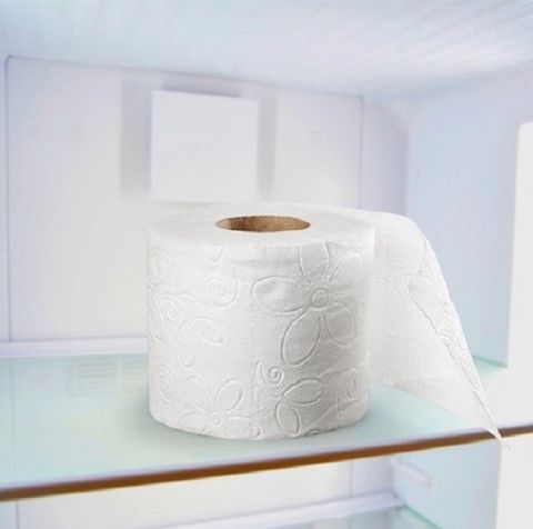 Mách Bạn Bỏ Giấy Vệ Sinh Vào Tủ Lạnh Để Khử Mùi Hiệu Quả