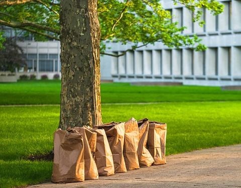 Giấy Kraft Phân Hủy Trong Bao Lâu? Quá Trình Phân Hủy Của Giấy Kraft