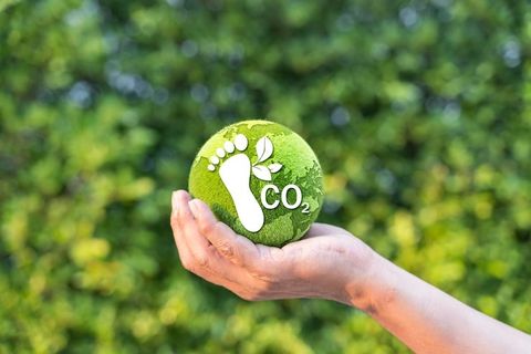 Tổng Hợp Những Giải Pháp Giảm Dấu Chân Carbon Hiệu Quả Nhất Hiện Nay