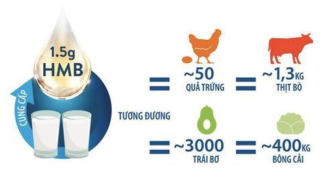 VAI TRÒ CỦA HMB TRONG CHẾ ĐỘ DINH DƯỠNG BỔ SUNG