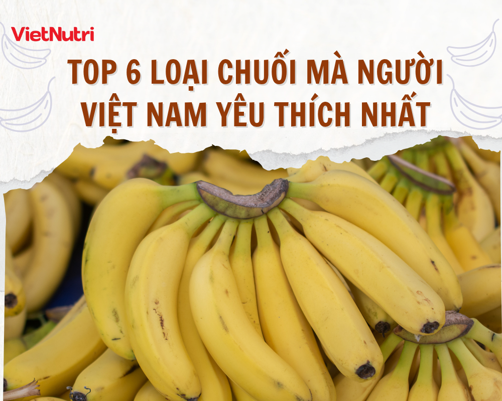 TOP 6 LOẠI CHUỐI MÀ NGƯỜI VIỆT NAM YÊU THÍCH NHẤT
