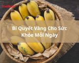 DINH DƯỠNG TỪ CHUỐI – BÍ QUYẾT VÀNG CHO SỨC KHỎE MỖI NGÀY