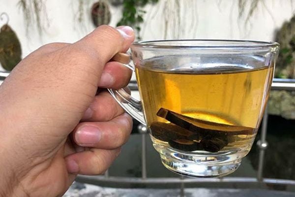 Sử Dụng Nấm Lim Xanh Trị Bệnh Gan Nhiễm Mỡ Hiệu Quả