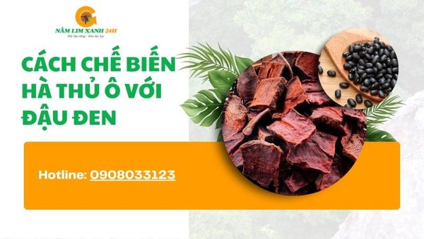 Cách Chế Biến Hà Thủ Ô Với Đậu Đen Giúp Dưỡng Tóc, Cải Thiện Sức Khỏe
