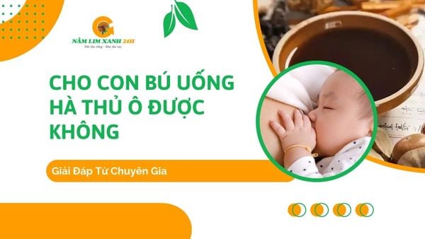 Cho Con Bú Uống Hà Thủ Ô Được Không? Giải Đáp Từ Chuyên Gia