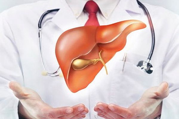 Nấm Lim Xanh Hỗ Trợ Điều Trị Ung Thư Gan