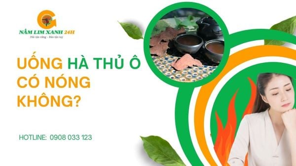 Uống Hà Thủ Ô Có Nóng Không? Giải Đáp Từ Góc Nhìn Y Học Cổ Truyền
