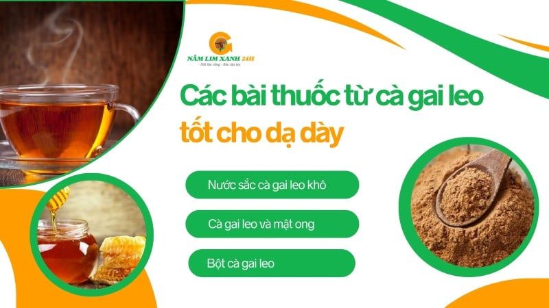 Các bài thuốc từ Cà Gai Leo tốt cho cả gan và dạ dày
