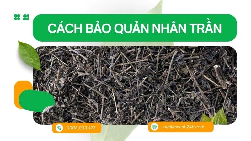 Cách bảo quản Nhân Trần