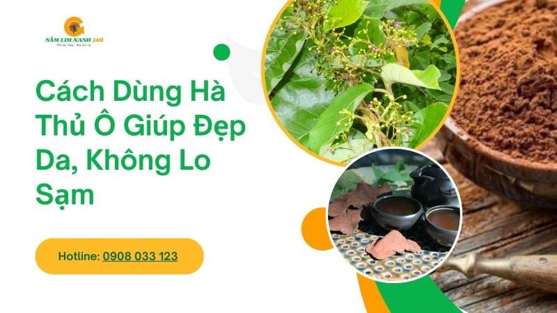 Cách dùng Hà Thủ Ô giúp đẹp da, không lo sạm