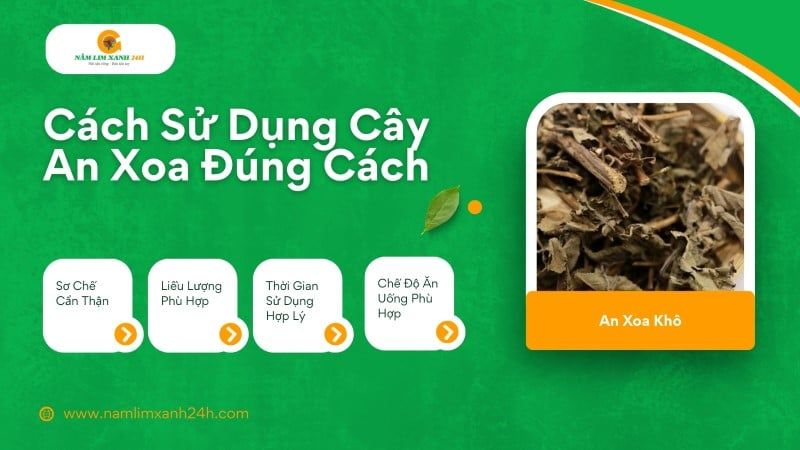 Cách sử dụng cây An Xoa đúng cách.