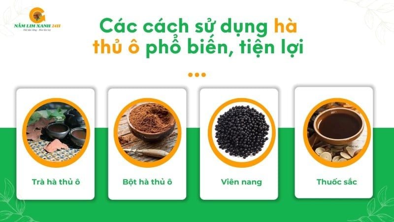 Các cách sử dụng Hà Thủ Ô phổ biến, tiện lợi