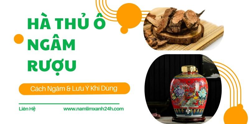 Hà Thủ Ô Ngâm Rượu: Cách Ngâm Và Lưu Ý Khi Dùng