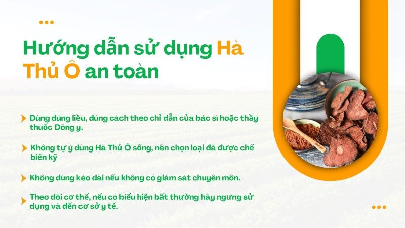 Hướng dẫn sử dụng Hà Thủ Ô an toàn