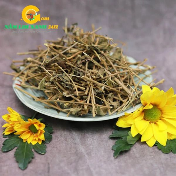 Lưu ý khi sử dụng Cà Gai Leo