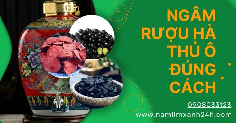 Nguyên liệu chuẩn bị ngâm rượu Hà Thủ Ô