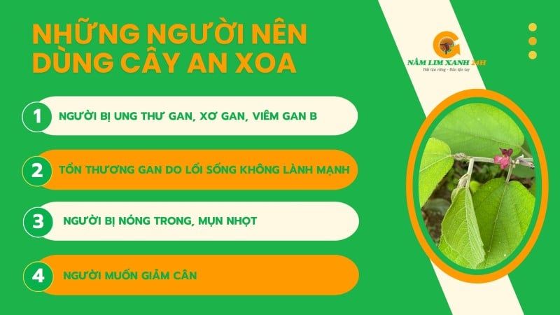 Cây An Xoa và những người nên sử dụng.
