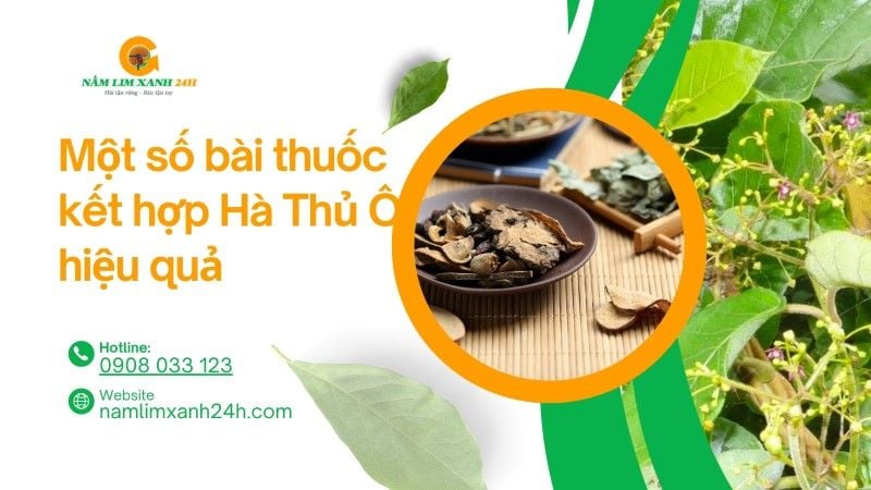 Một số bài thuốc kết hợp Hà Thủ Ô hiệu quả