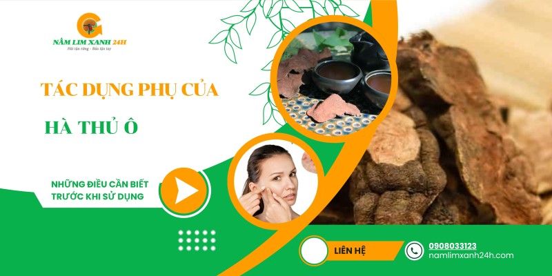 Tác dụng phụ của Hà Thủ Ô – Những điều cần biết trước khi sử dụng