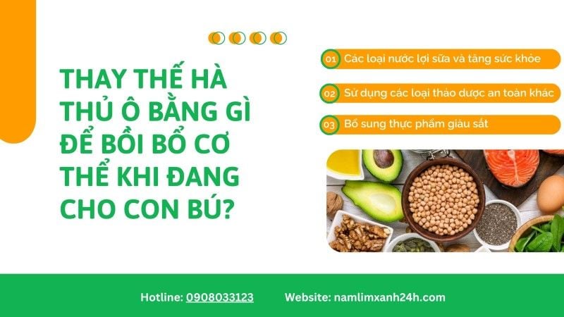 Thay thế Hà Thủ Ô bằng gì để bồi bổ cơ thể khi đang cho con bú?