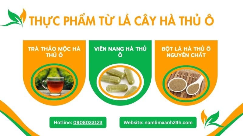 Thực phẩm chức năng từ lá cây Hà Thủ Ô