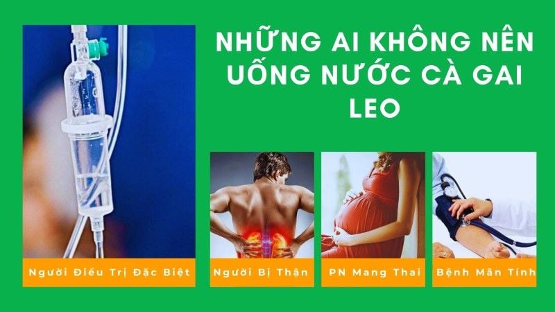 Những ai không nên uống nước Cà Gai Leo?