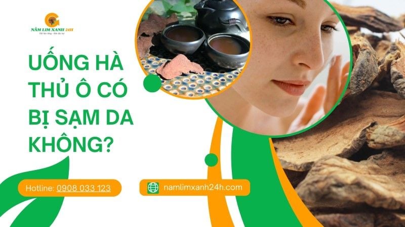 Uống Hà Thủ Ô có bị sạm da không? Giải đáp chi tiết từ chuyên gia