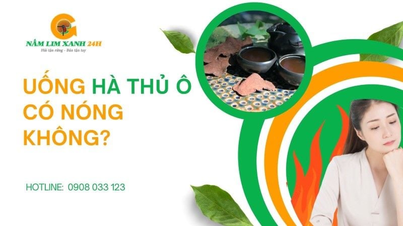 Uống Hà Thủ Ô có nóng không? Giải đáp từ góc nhìn y học cổ truyền