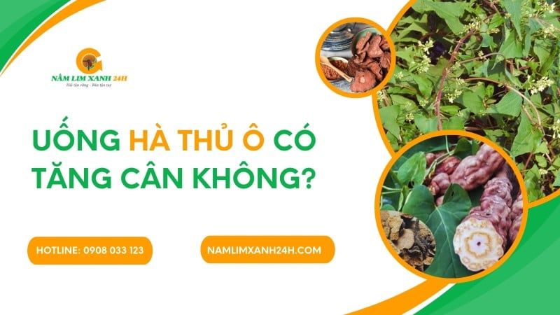 Uống Hà Thủ Ô có tăng cân không?