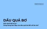 DẦU QUẢ BƠ LÀ GÌ? CÔNG DỤNG LÀM ĐẸP DẦU QUẢ BƠ VỚI LÀN DA