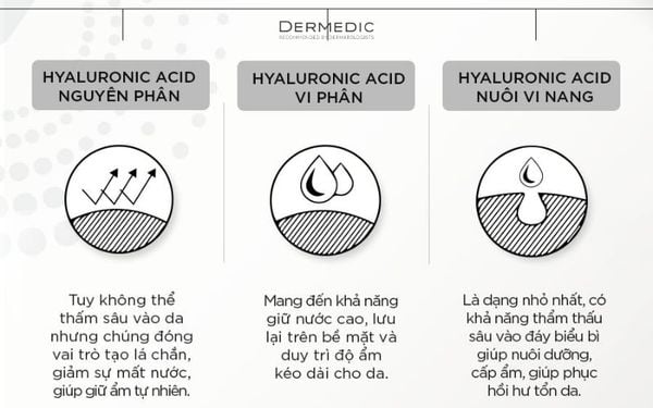 Phân loại Hyaluronic Acid được sử dụng trong các dòng mỹ phẩm