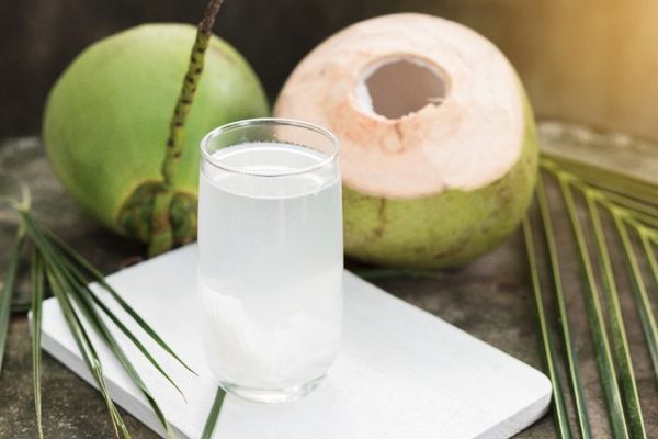 Bệnh gút uống nước dừa được không?