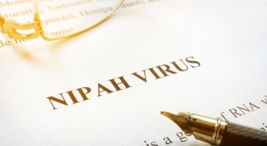 Virus Nipah là gì? Con đường lây nhiễm của virus Nipah nguy hiểm