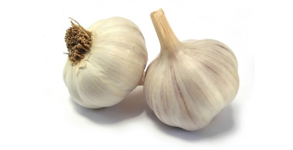 Tỏi kỵ với gì? Các loại thực phẩm tránh ăn cùng tỏi bạn nên biết