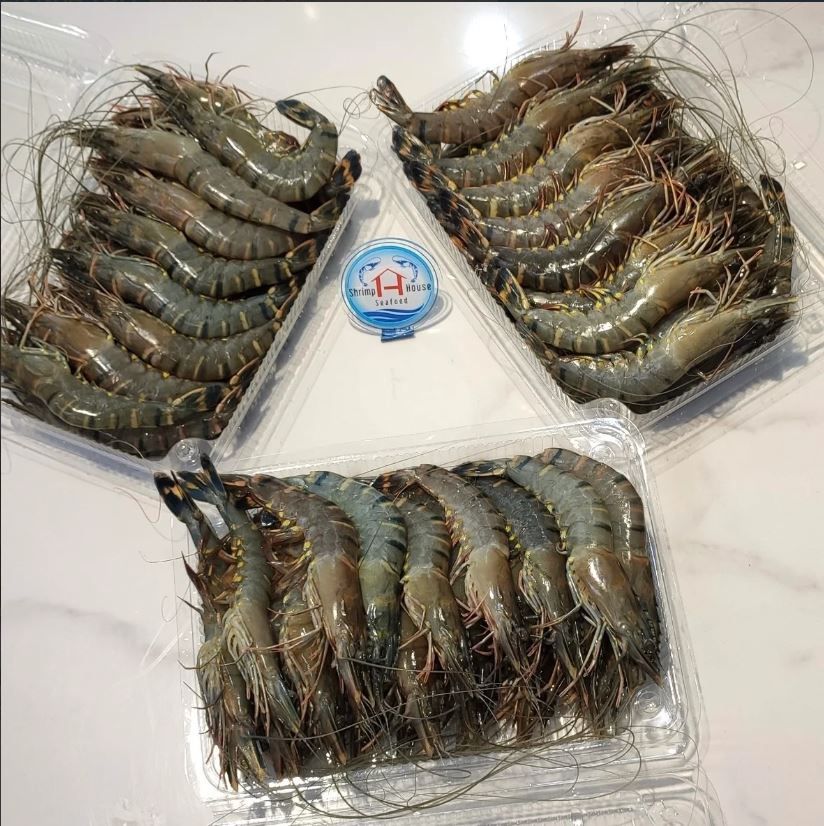 Lợi ích từ tôm sú và cách để chọn được những con tôm sú ngon