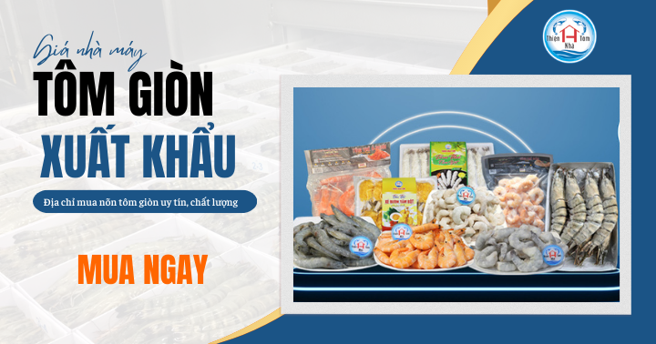 Nõn tôm giòn xuất khẩu giá bao nhiêu? Địa chỉ mua nõn tôm uy tín, chất lượng