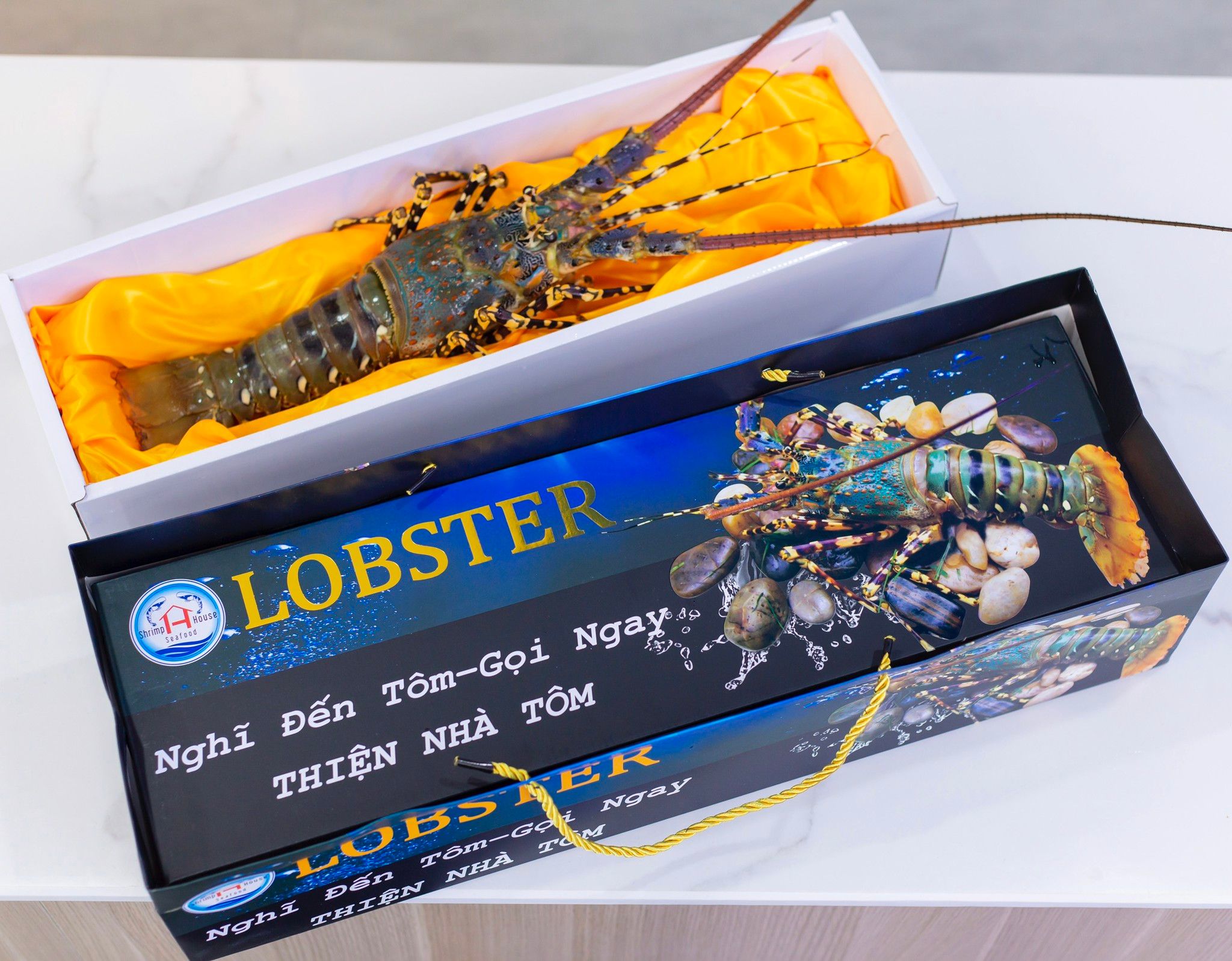 Ở đâu bán Tôm Hùm Bông chất lượng - giá tốt tại TP.HCM?