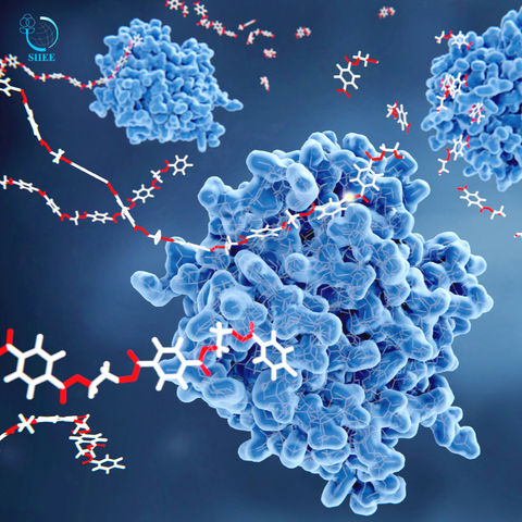 ENZYME CÙNG VỚI VAI TRÒ QUAN TRỌNG VỚI HỆ THẦN KINH VÀ BỘ NÃO