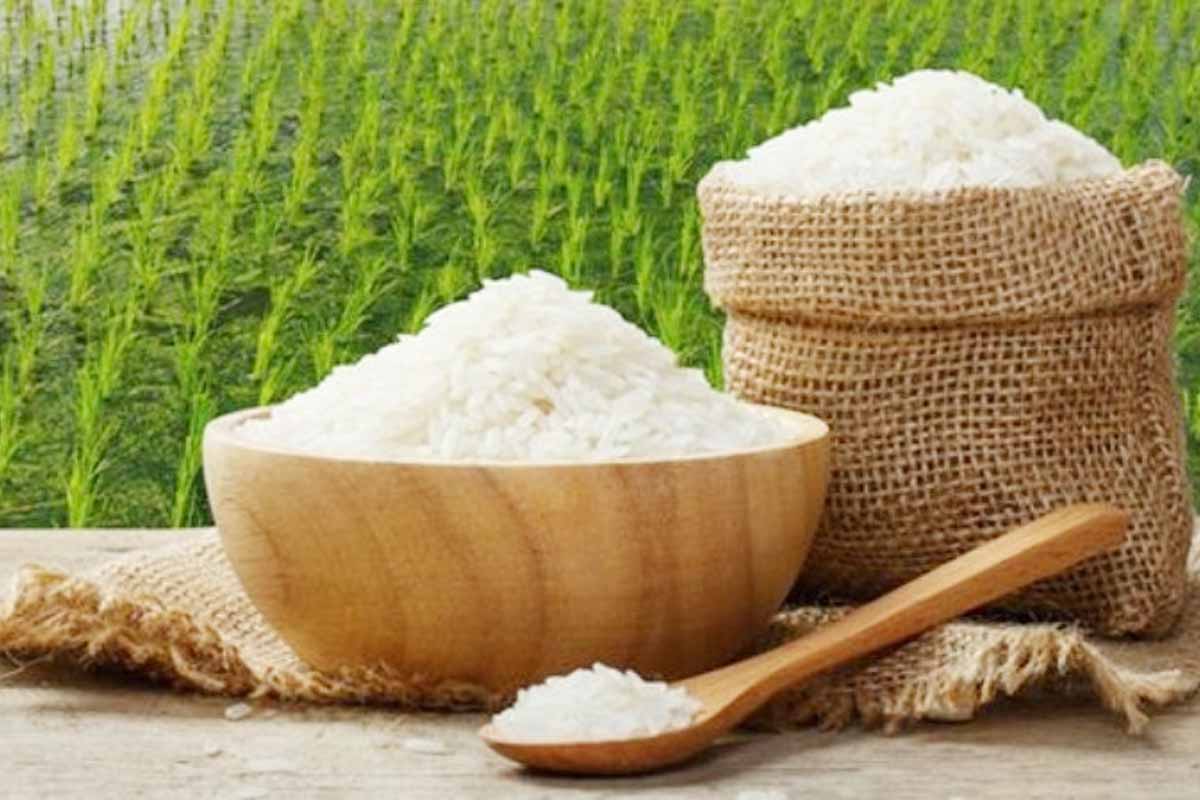 Gạo hữu cơ là gì? Ưu điểm vượt trội của gạo hữu cơ khác so với gạo thông thường?