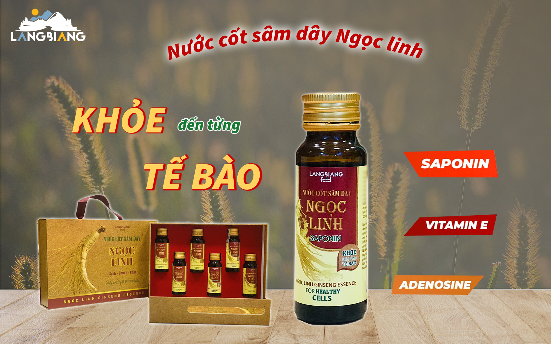 Đẳng sâm và những công dụng giúp ích cho sức khỏe con người