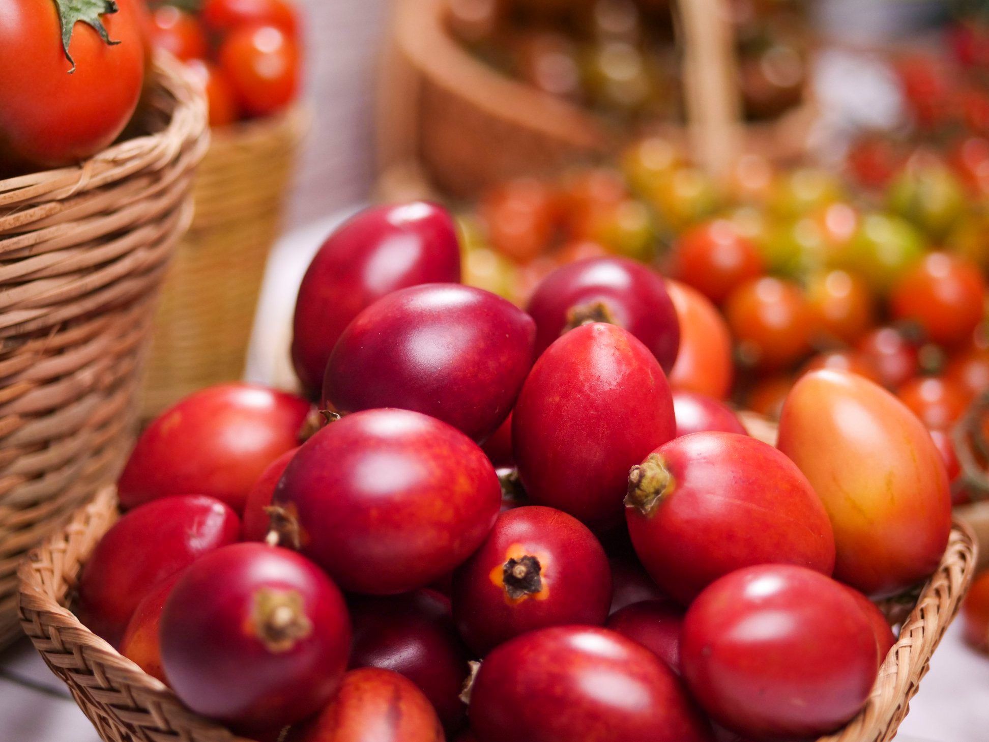 Cà chua thân gỗ và những cách dùng tốt cho cơ thể