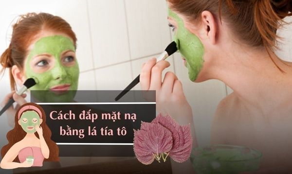10 CÁCH ĐẮP MẶT BẰNG LÁ TÍA TÔ LÀM MỜ THÂM NÁM TẠI NHÀ
