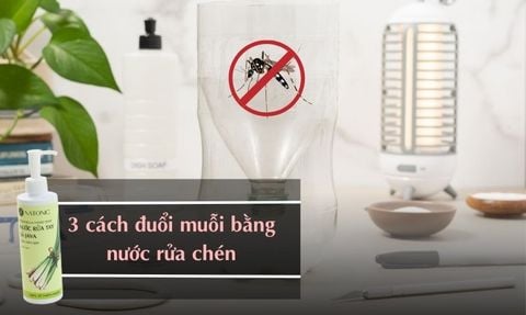 3 CÁCH ĐUỔI MUỖI BẰNG NƯỚC RỬA CHÉN TIẾT KIỆM, HIỆU QUẢ