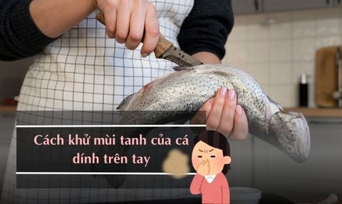 12 CÁCH KHỬ MÙI TANH CỦA CÁ DÍNH TRÊN TAY ĐƠN GIẢN TẠI NHÀ