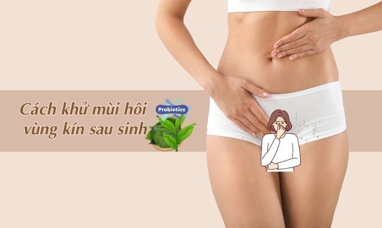 Hôi Vùng Kín Sau Sinh: Nguyên Nhân, Cách Khắc Phục Hiệu Quả