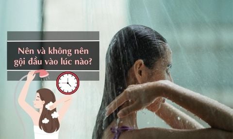 NÊN GỘI ĐẦU VÀO LÚC NÀO LÀ TỐT NHẤT? GỘI BUỔI SÁNG HAY TỐI?