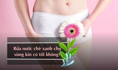 RỬA NƯỚC CHÈ XANH CHO VÙNG KÍN CÓ TỐT KHÔNG? CÁCH LÀM ĐÚNG