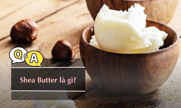 SHEA BUTTER (BƠ HẠT MỠ) LÀ GÌ? CÁCH DÙNG TRONG MỸ PHẨM?