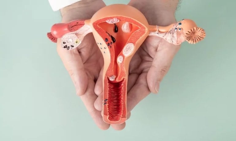 Rửa nước chè xanh cho vùng kín có tốt không? Cách vệ sinh an toàn